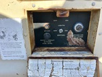 Control Station Photos with