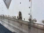 General Appearance with Paint