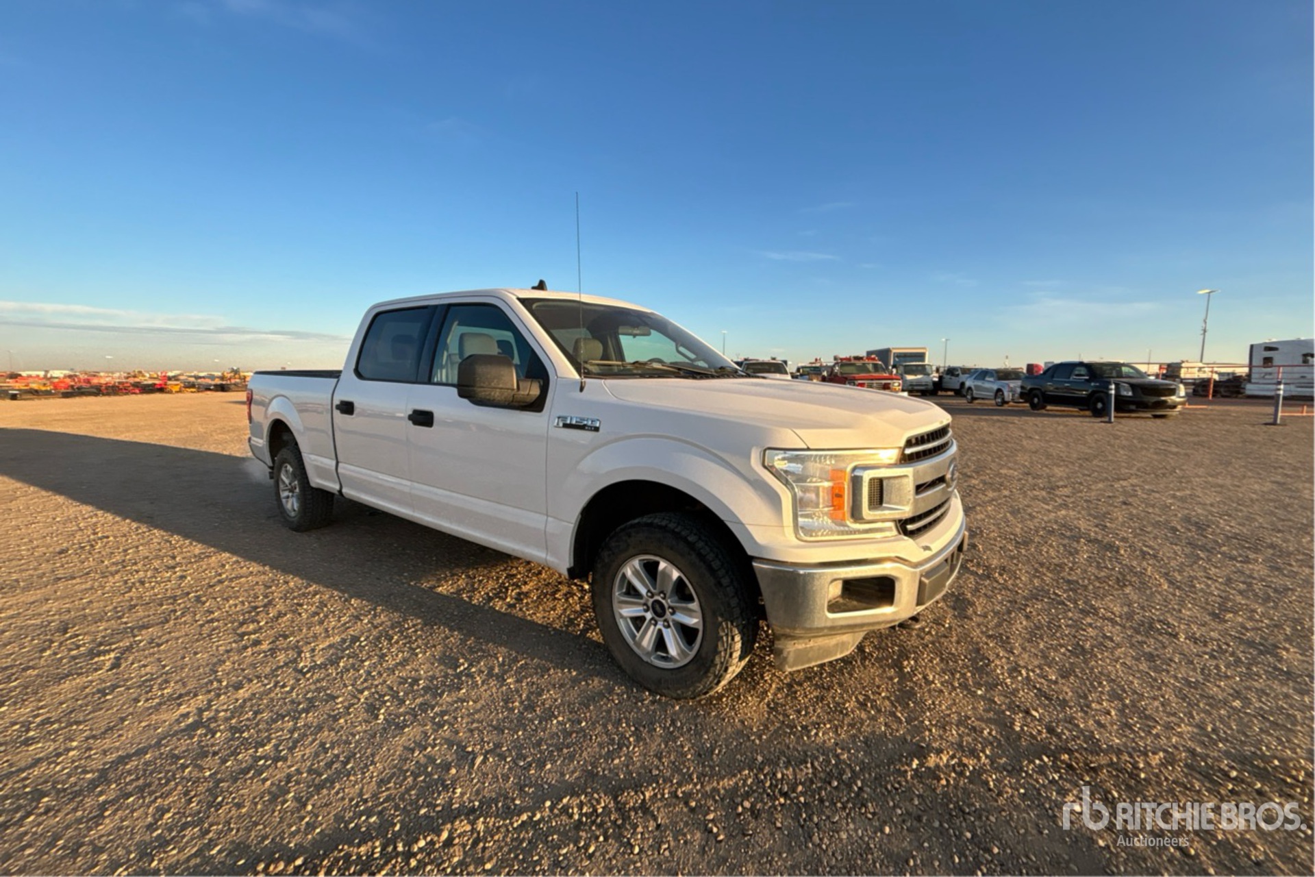2019 Ford F-150