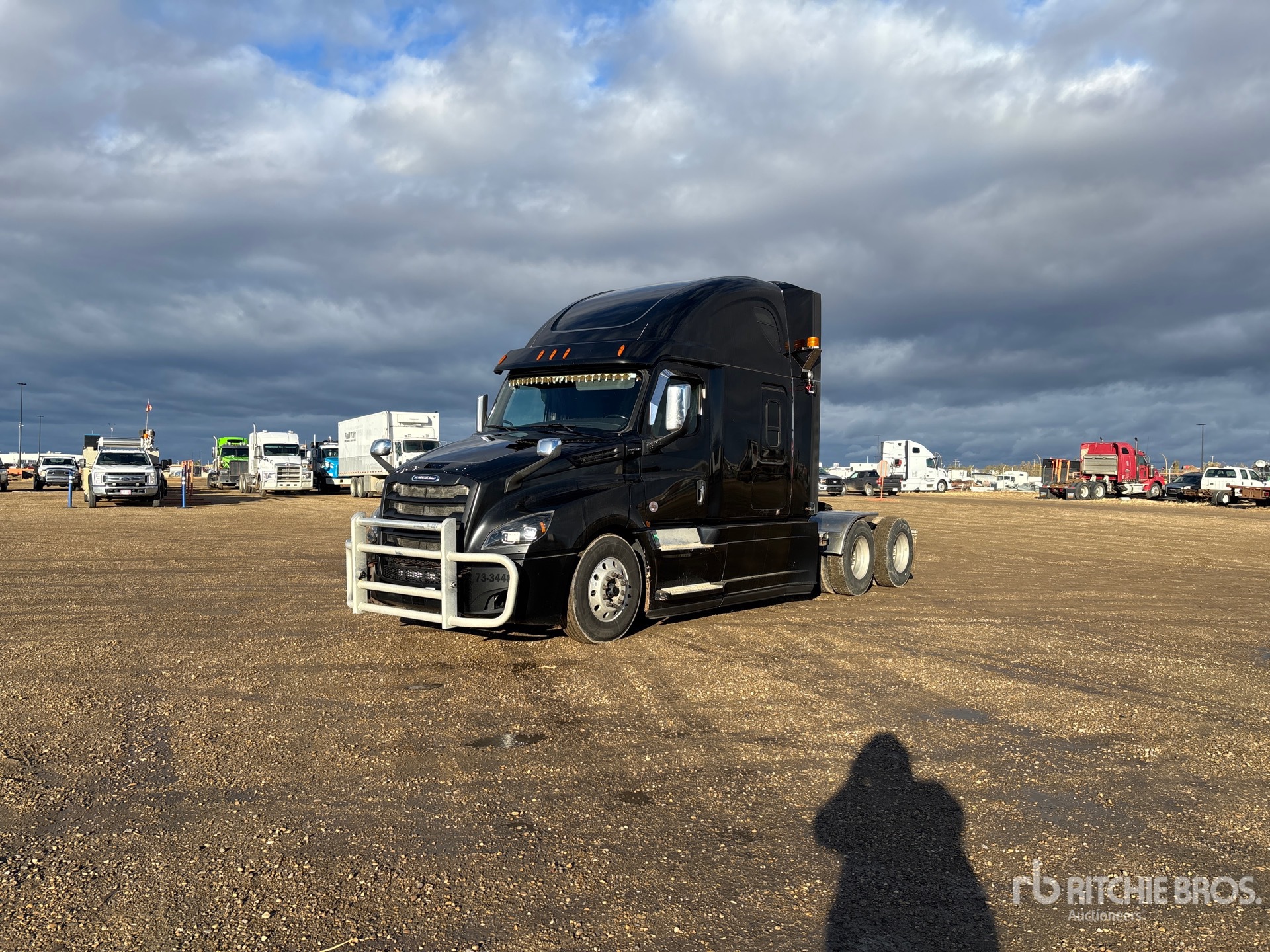 2019 Freightliner CASCADIA 126