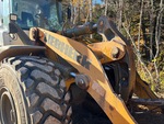 General Appearance with Paint