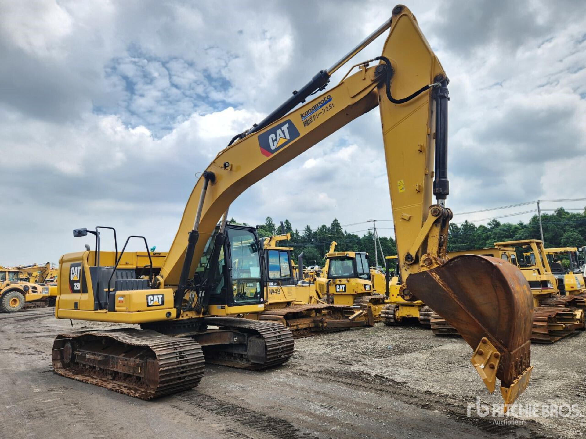 General Appearance with 