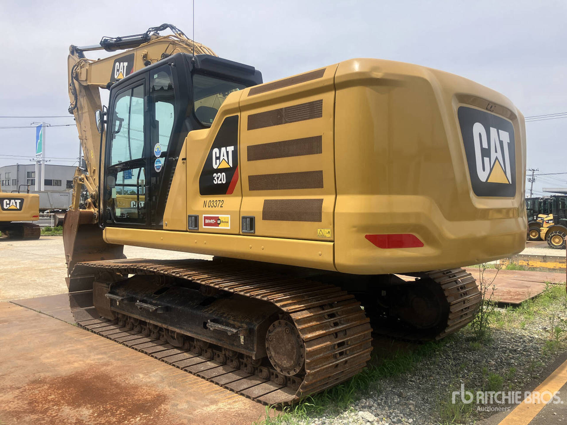 General Appearance with 